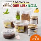 とれたて山ちゃん味噌と加工品