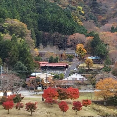 丹沢湖へ手ぶらでのんびりアウトドア　丹沢湖ロッヂ日帰り利用券(4名様)　