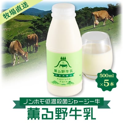 【牧場直送】薫る野牛乳500ml×5本　ノンホモ低温殺菌ジャージー牛　山地酪農　24時間365日放牧