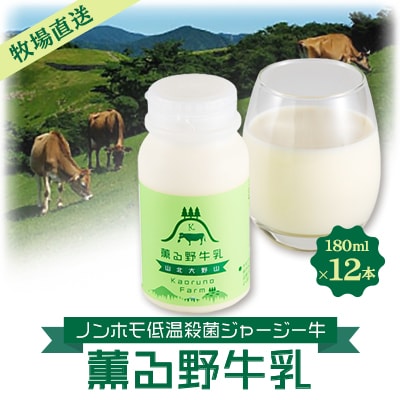 【牧場直送】薫る野牛乳180ml×12本　ノンホモ低温殺菌ジャージー牛　山地酪農24時間365日放牧
