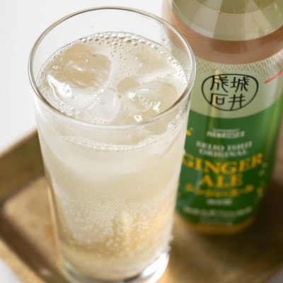 成城石井 ジンジャーエール 500ml×24本
