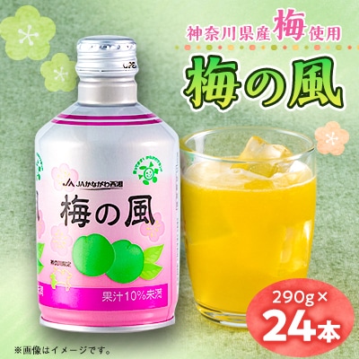 梅の風(清涼飲料水)290g×24本入り