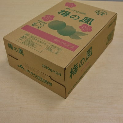 梅の風(清涼飲料水)290g×24本入り