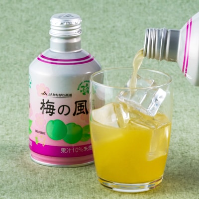 梅の風(清涼飲料水)290g×24本入り