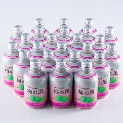 梅の風(清涼飲料水)290g×24本入り