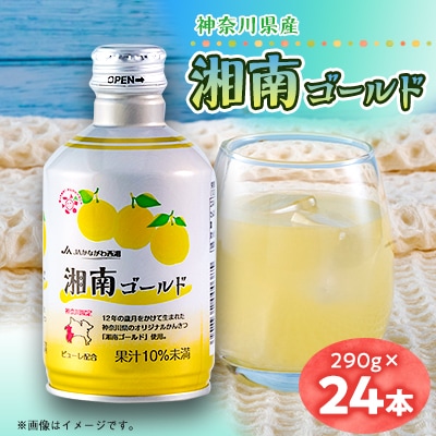 湘南ゴールド飲料  神奈川県産　290g×24本入り