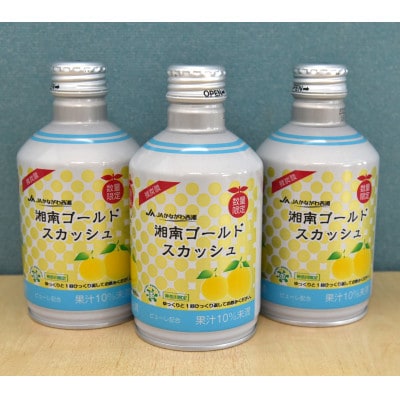 湘南ゴールドスカッシュ　神奈川県産　290ml×24本入り