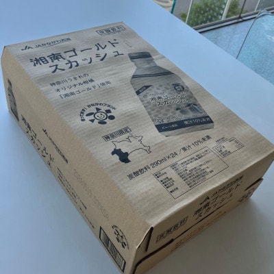 湘南ゴールドスカッシュ　神奈川県産　290ml×24本入り