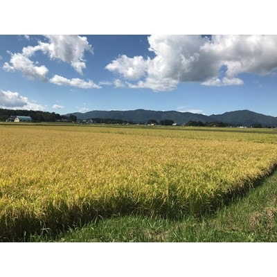 【令和5年産】岩手県紫波町産　特別栽培米　ひとめぼれ　5kg×2