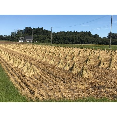 【令和5年産】岩手県紫波町産　特別栽培米　ひとめぼれ　5kg×2