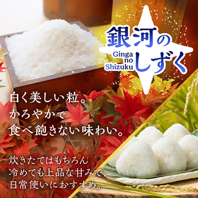 【7年連続特A評価】令和7年産 銀河のしずく 10kg(5kg×2袋) 精米 岩手県産 お米