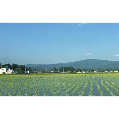 【毎月定期便】岩手県産　銀河のしずく 精米 5kg全9回