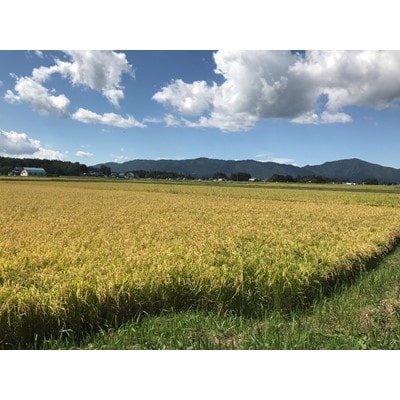 【毎月定期便】岩手県紫波町産　特別栽培米　ひとめぼれ 精米 5kg全3回