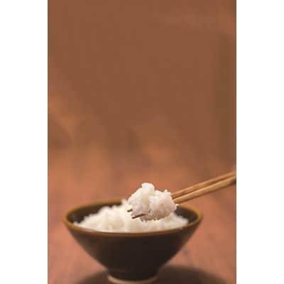 【令和7年産】岩手県産無洗米銀河のしずく(5kg×2)