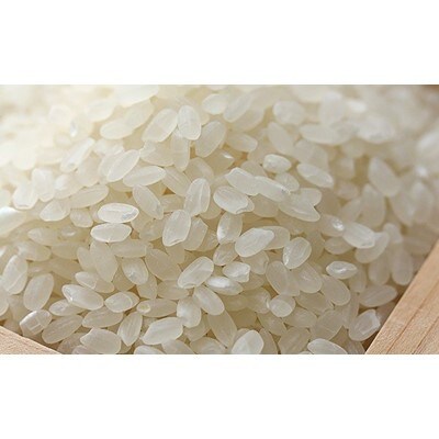 【令和7年産】岩手県産無洗米銀河のしずく5kg