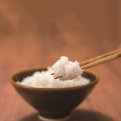 2021年4月発送開始『定期便』岩手県産　銀河のしずく　精米5kg　全6回