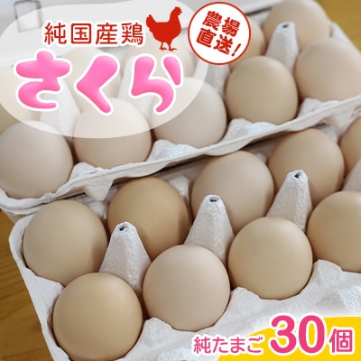 純国産鶏【さくら】純たまご(30個)