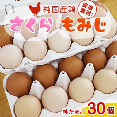 純国産鶏【さくらともみじ】純たまご(30個)