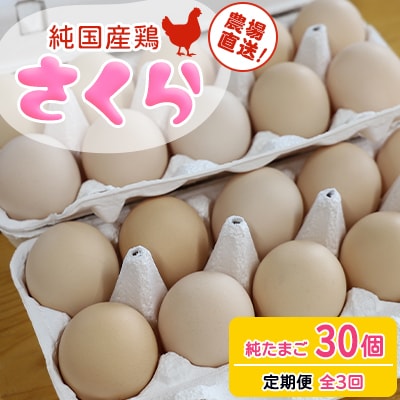 【毎月定期便】純国産鶏【さくら】純たまご(30個)全3回