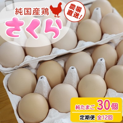 【毎月定期便】純国産鶏【さくら】純たまご(30個)全12回