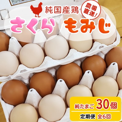 【毎月定期便】純国産鶏【さくらともみじ】純たまご(30個)全6回