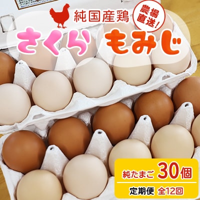【毎月定期便】純国産鶏【さくらともみじ】純たまご(30個)全12回