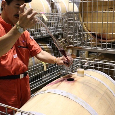【エーデルワイン】シルバーメルロー、カベルネ・フラン　ヴィンテージ飲み比べ6本セット　