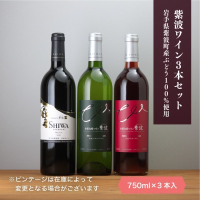 【自園自醸ワイン紫波】ワイン3本セット