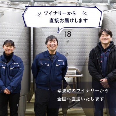 【自園自醸ワイン紫波】紫波メルロー 750ml×1本