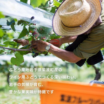 紫波マスカットベーリーA[甘口]