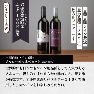 自園自醸ワイン紫波メルロー飲み比べセット(プレミアムメルロー・メルロー 各1本)