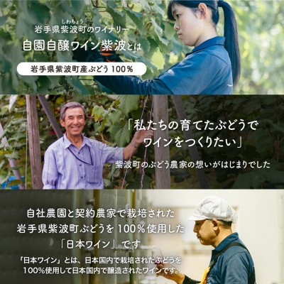 自園自醸ワイン紫波 赤ワイン3本セット【マスカットベーリーA樽熟成・プレミアムメルロー・メルロー】