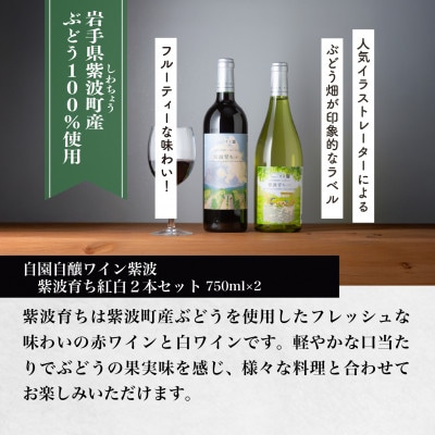 【自園自醸ワイン紫波】紫波育ち紅白2本セット