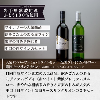 【自園自醸ワイン紫波】人気ナンバーワン!赤・白ワインセット『プレミアムメルロー・リースリングリオン』