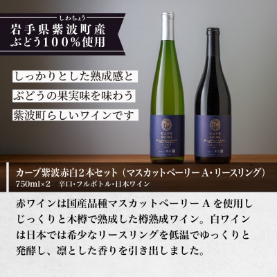 カーブ紫波赤白ワイン2本セット【カーブ紫波マスカットベーリーA、カーブ紫波リースリング】