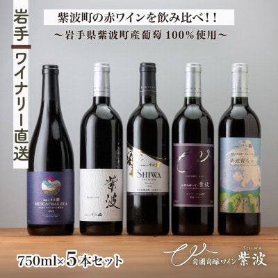 【自園自醸ワイン紫波】辛口赤ワイン飲み比べ5本セット