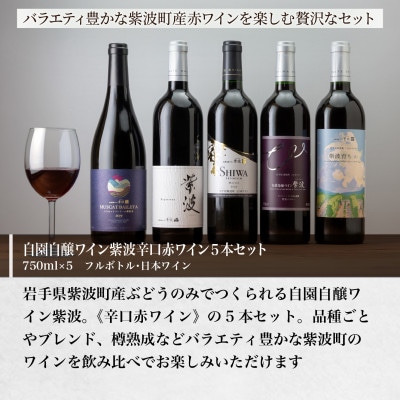 【自園自醸ワイン紫波】辛口赤ワイン飲み比べ5本セット