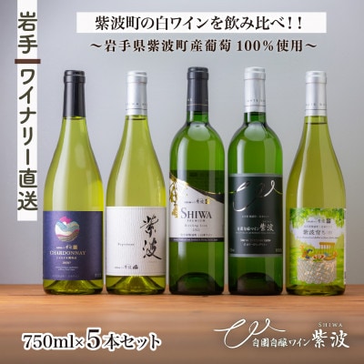 【自園自醸ワイン紫波】辛口白ワイン飲み比べ5本セット