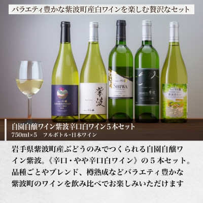 【自園自醸ワイン紫波】辛口白ワイン飲み比べ5本セット