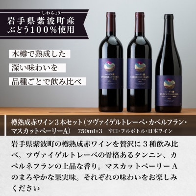 【自園自醸ワイン紫波】 樽熟成赤ワイン3本セット