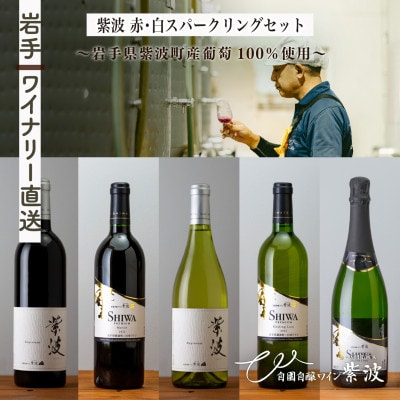 【自園自醸ワイン紫波】 赤・白・スパークリングワイン飲み比べセット