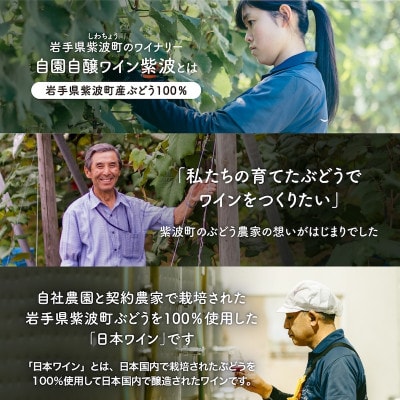 【自園自醸ワイン紫波】 紫波スパークリングワイン白