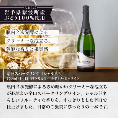 【自園自醸ワイン紫波】 紫波スパークリングワイン白
