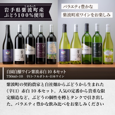 【自園自醸ワイン紫波】 辛口ワイン10本飲み比べセット
