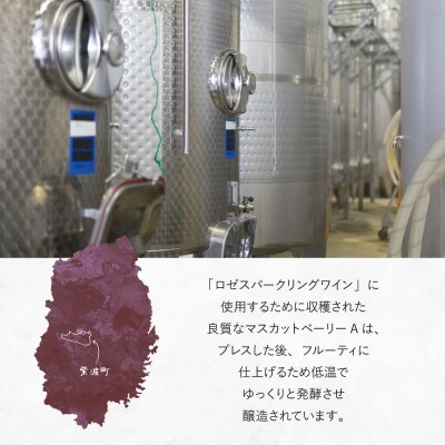 Our Hour ロゼスパークリングワイン 6本セット