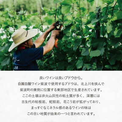 Our Hour ロゼスパークリングワイン 12本セット