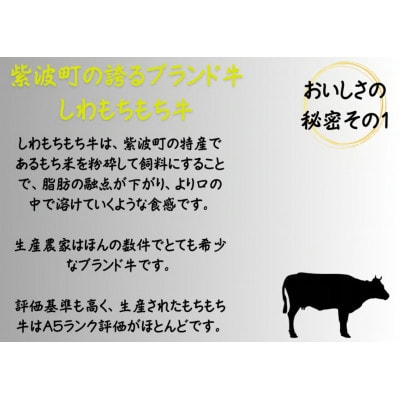 黄金だし ひっつみ 250g×36個入
