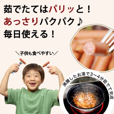 【訳あり】国産 業務用ソーセージ ウインナー 3kg (1kg×3パック) 冷凍