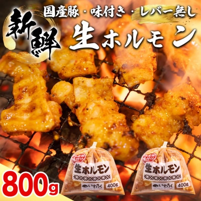 生ホルモン 国産豚 味付け レバー無し 800g(400g×2パック) 冷凍 ホルモン