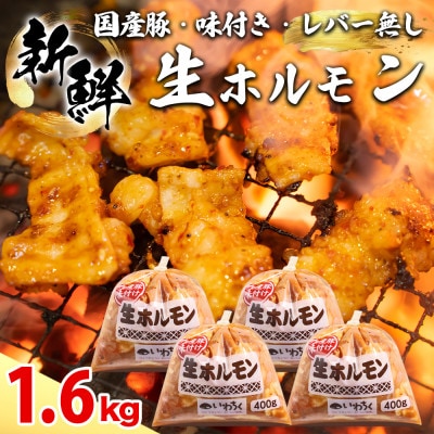 生ホルモン 国産豚 味付け レバー無し 1.6kg(400g×4パック) 冷凍 ホルモン